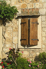 фото "Dalmatia"