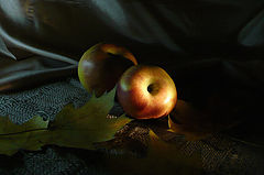 photo "***"