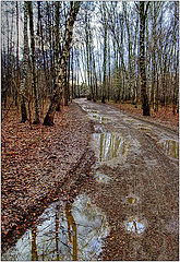 photo "Reflections of late autumn"