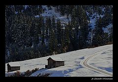 photo "primo inverno"