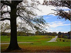 фото "Country Road"