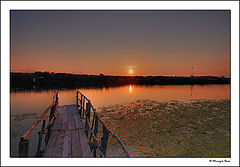 photo "Dog's tongue sunset."