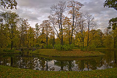 фото "островок"