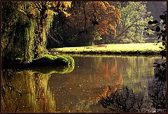 фото "reflection"