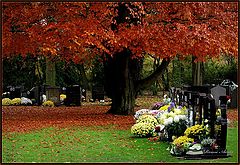 фото "flowers for the dead"