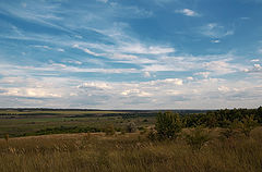 фото "Просторы"