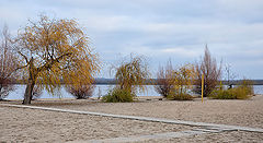 photo "***"