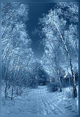 photo "***"