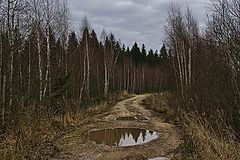 фото "Когда же снег?"