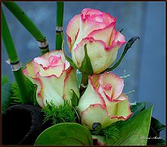 фото "For you Svetlana M."
