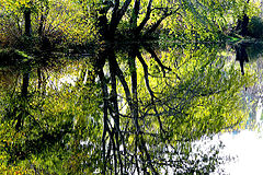 фото "Autumn aquarell"