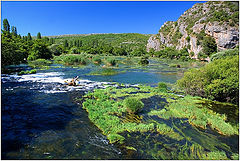 photo "Krka - river"