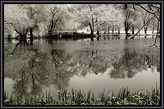 photo "***"