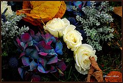 фото "For You Svetlana M."