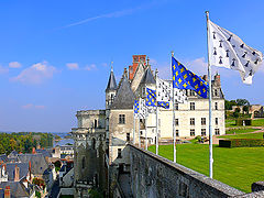 photo "Chateau Amboise"