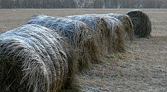 фото "Поздняя осень"