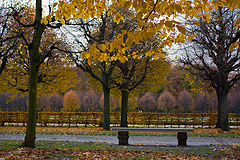 photo "***"