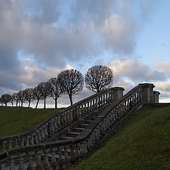 photo "***"