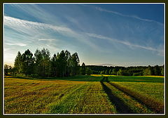 photo "***"