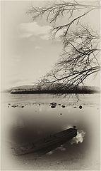 photo "***"