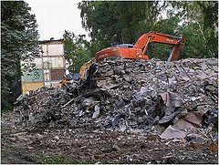 фото "Искусственный отбор."