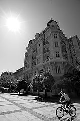 фото "Солнечный день"