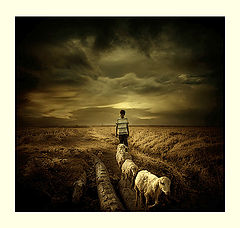 photo "go home"