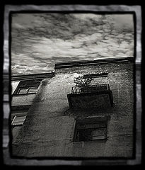 photo "***"
