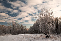 фото "На Совце"