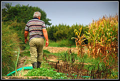 photo "Men at work"