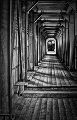 photo "***"