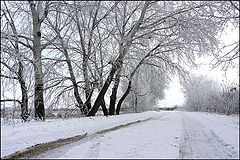 photo "Winter perspective"