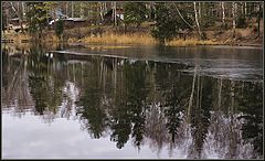 photo "Beginning of winter"