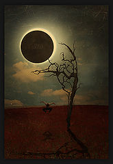 фото "ECLIPSE"