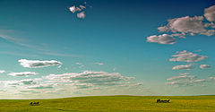 photo "***"