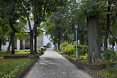 photo "***"