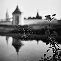 photo "***"