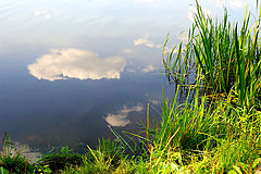 photo "***"