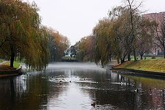 photo "***"