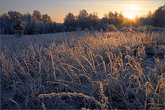 photo "In the short winter afternoon"