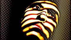 фото "Incognito"