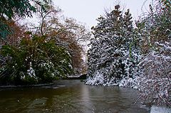 photo "freezing cold"