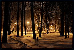photo "Winter park"