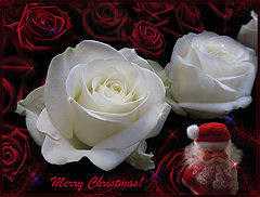 photo "Merry Xmas, dear friends!"
