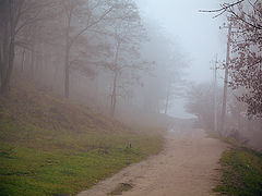 фото "Дорога в туман"