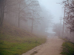 photo "Road to fog"