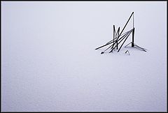 photo "Attempt to tell"