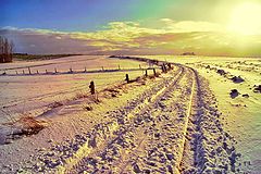photo "Winter"