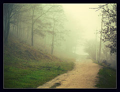 фото "Дорога в туман (имитация кросс-процеса)"