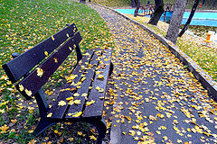 фото "Autumn passed here ..."